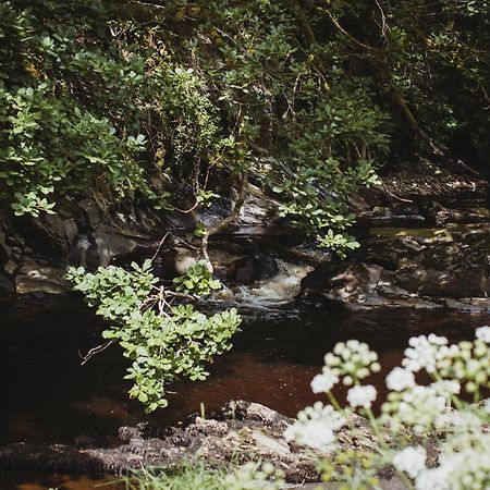River Cottage, A Luxurious And Cosy Riverside Cottage For Two Welshpool Εξωτερικό φωτογραφία