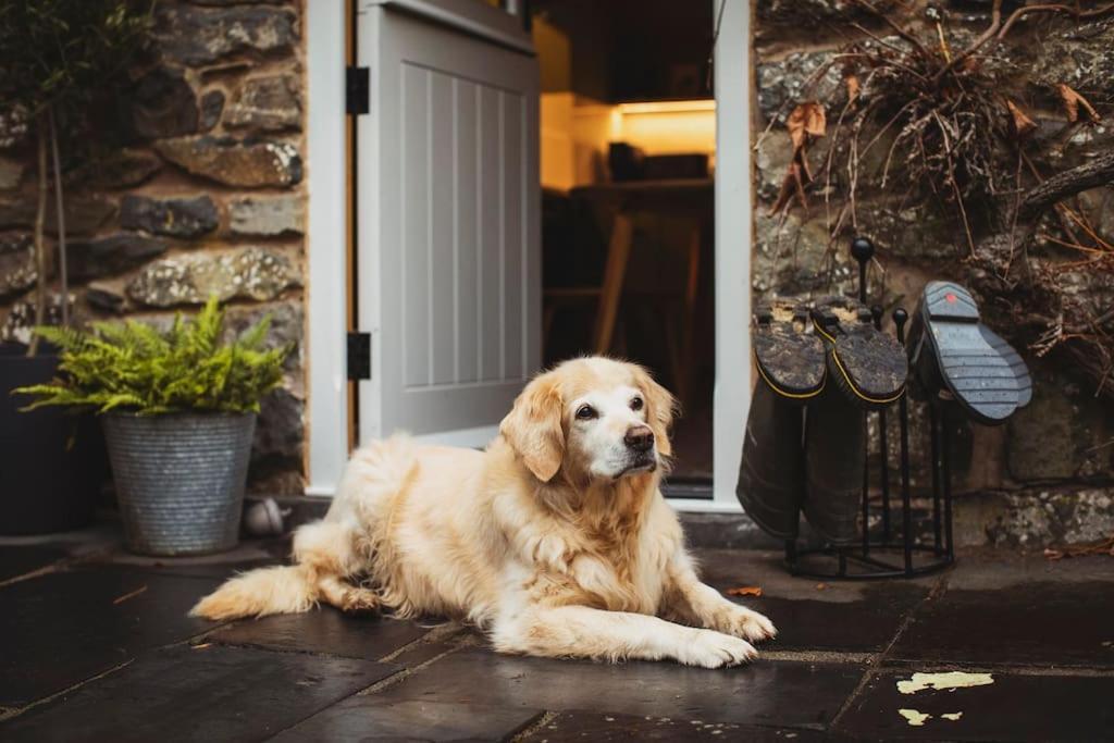River Cottage, A Luxurious And Cosy Riverside Cottage For Two Welshpool Εξωτερικό φωτογραφία