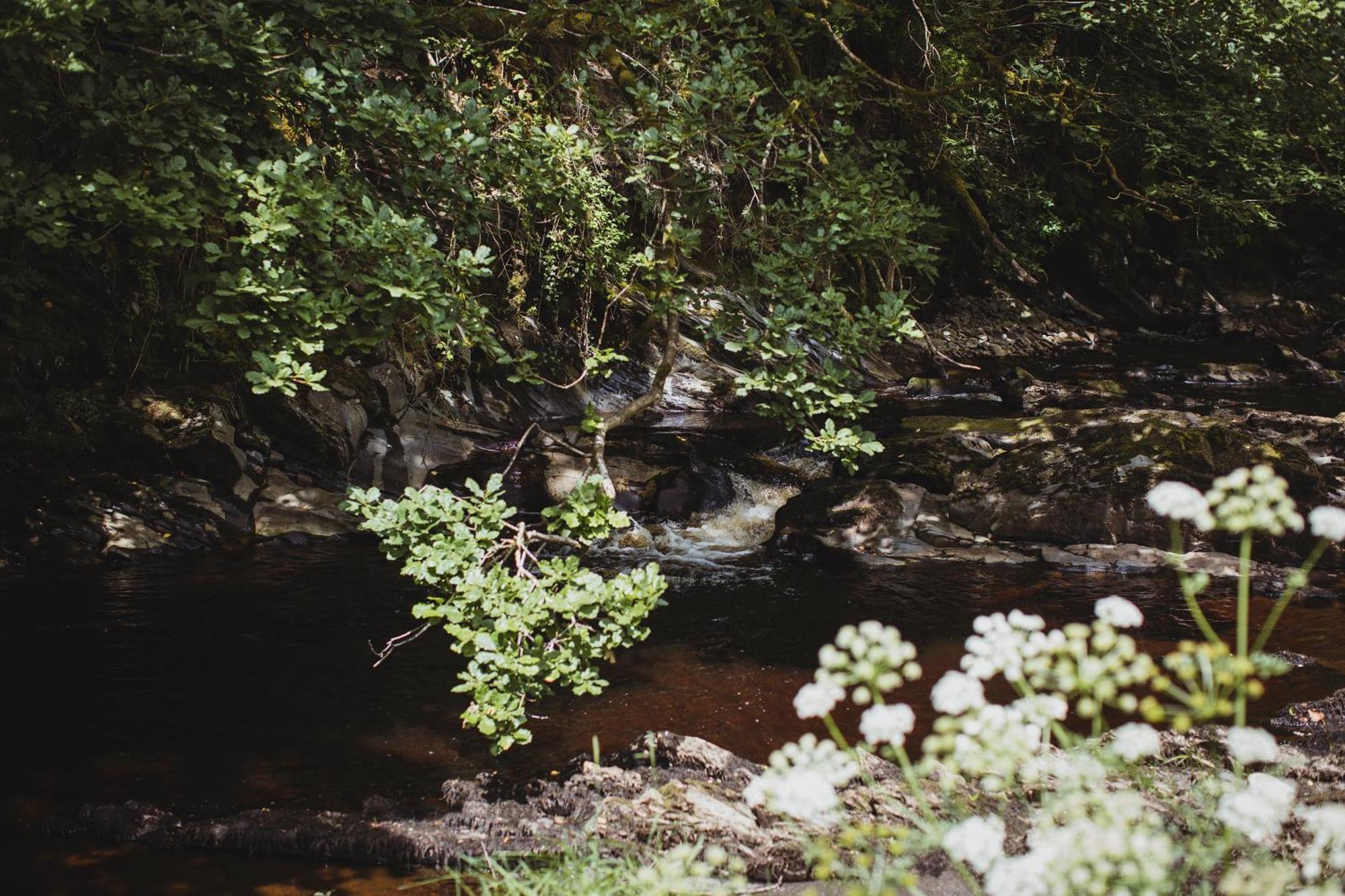 River Cottage, A Luxurious And Cosy Riverside Cottage For Two Welshpool Εξωτερικό φωτογραφία