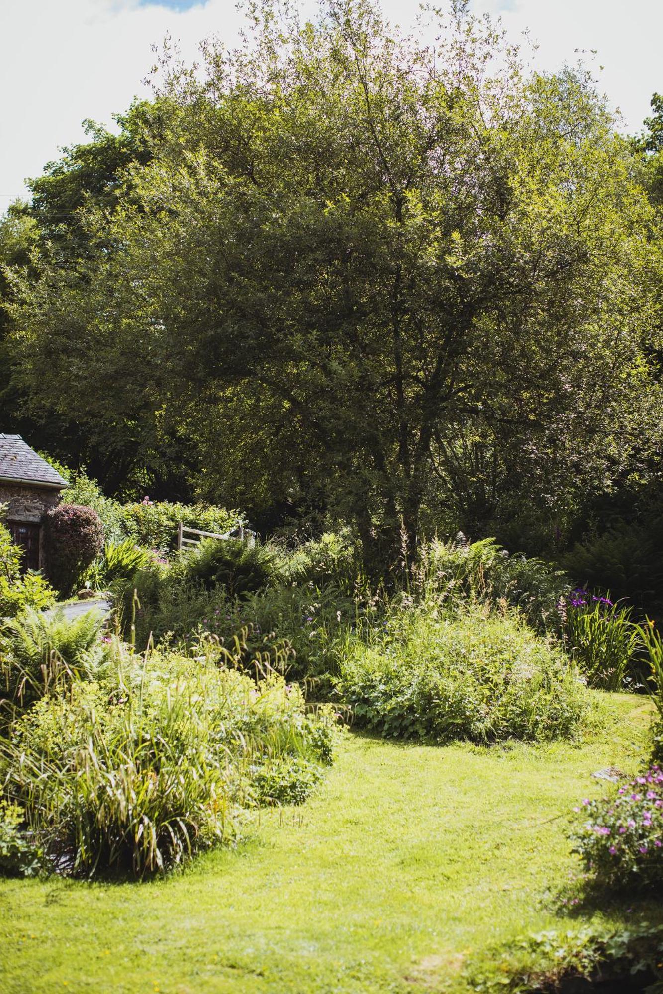 River Cottage, A Luxurious And Cosy Riverside Cottage For Two Welshpool Εξωτερικό φωτογραφία